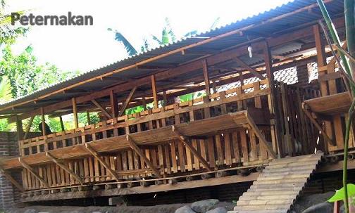 Peternakan