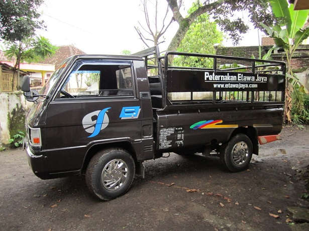 transportasi kambing etawa jarak dekat transportasi kambing etawa jarak dekat
