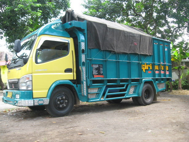 pengiriman kambing etawa darat pengiriman kambing etawa darat