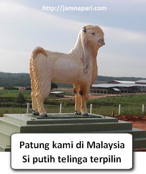patung kambing etawa jamnapari patung kambing etawa jamnapari