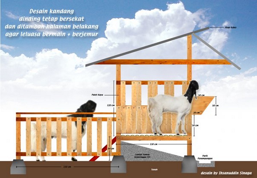 Paling Keren Gambar Sketsa Kandang Kambing - Tea And Lead