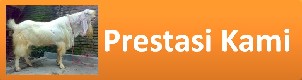 prestasi-peternakan-kambing-etawa