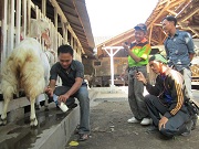 Kunjungan Karang Taruna Bojonegoro 23 Juli 2011