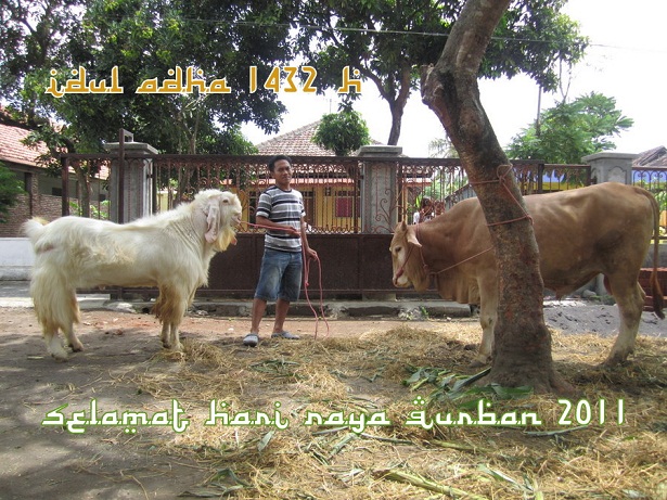 Selamat Hari Raya Idul Adha 2011