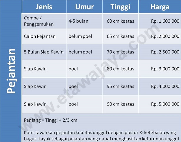 harga-kambing-etawa-jantan harga-kambing-etawa-jantan