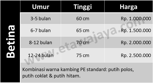 harga-kambing-pe-betina harga-kambing-pe-2014