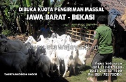 Dibuka Kuota Pengiriman Massal ke Jawa Tengah & Jawa Barat September 2015 (Ditutup)