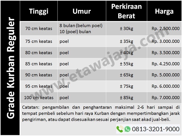 harga-kambing-kurban-2018 harga-kambing-kurban-2018