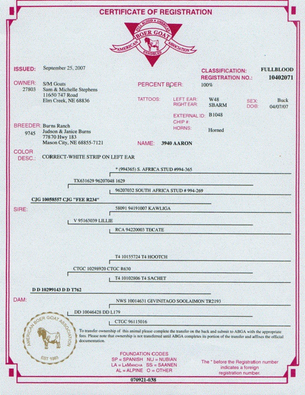 sertifikat kambing boer