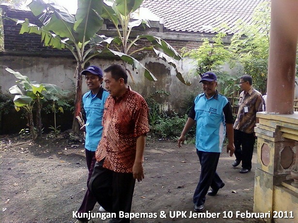 budidaya-kambing-etawa-bapemas-upk-jember