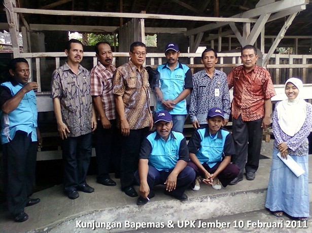 budidaya-kambing-etawa-bapemas-upk-jember
