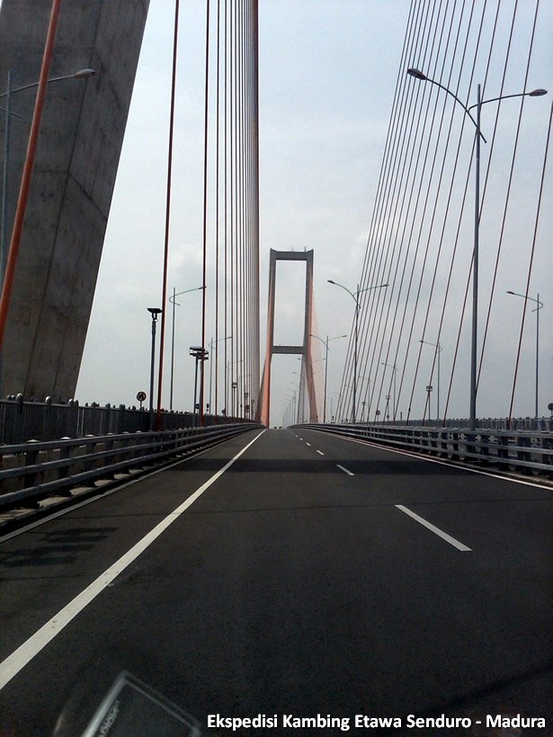 ekspedisi-kambing-etawa-senduro-madura