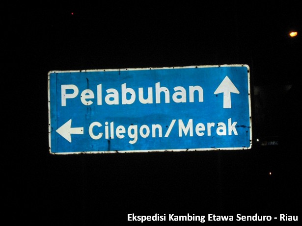 ekspedisi-kambing-etawa-senduro-riau