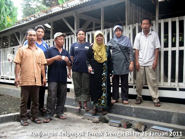 kelompok-ternak-kambing-etawa-srengat-blitar