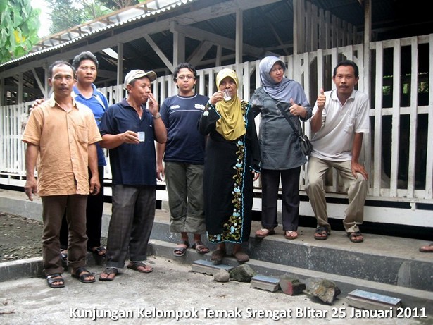 kelompok-ternak-kambing-etawa-srengat-blitar