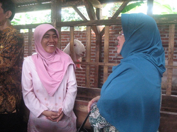 kunjungan-bupati-lumajang-ke-peternakan-etawa-jaya