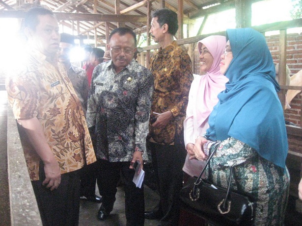 kunjungan-bupati-lumajang-ke-peternakan-etawa-jaya