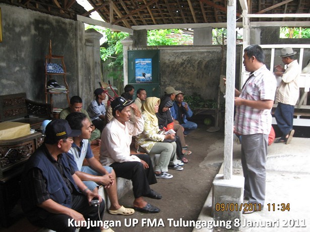 kunjungan-kelompok-ternak-kambing-etawa-tulungagung