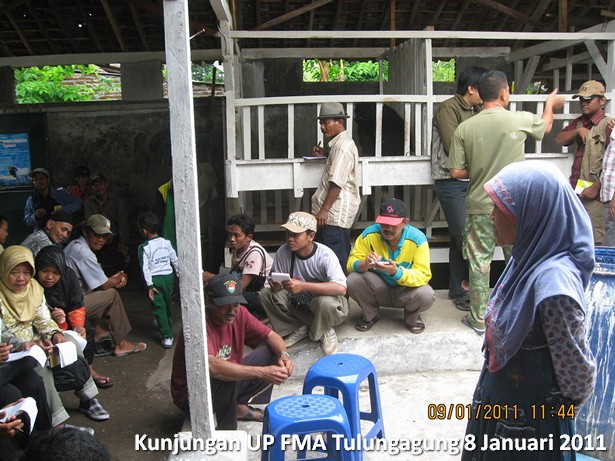 kunjungan-kelompok-ternak-kambing-etawa-tulungagung
