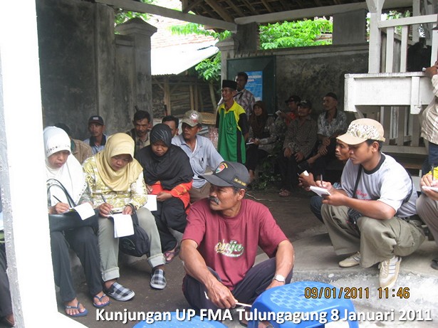 kunjungan-kelompok-ternak-kambing-etawa-tulungagung