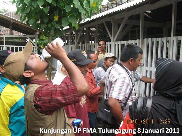 kunjungan-kelompok-ternak-kambing-etawa-tulungagung