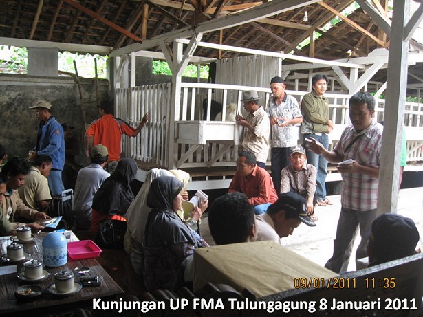 kunjungan-kelompok-ternak-kambing-etawa-tulungagung