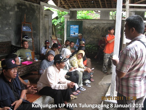 kunjungan-kelompok-ternak-kambing-etawa-tulungagung