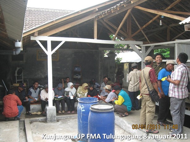 kunjungan-kelompok-ternak-kambing-etawa-tulungagung