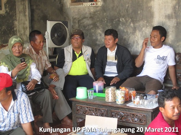 kunjungan-kelompok-ternak-kambing-etawa-tulungagung