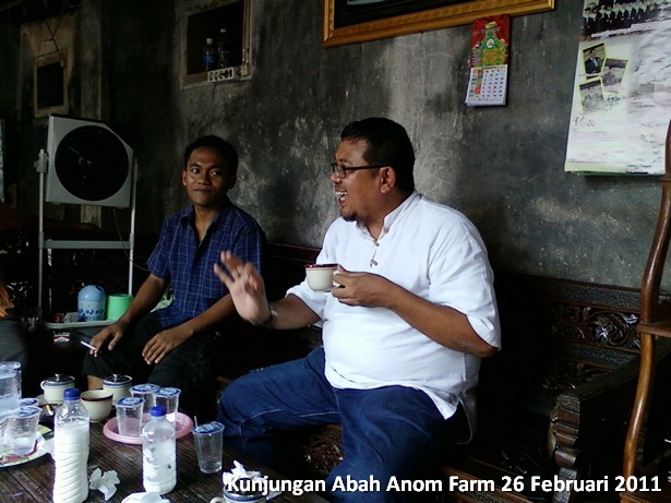 kunjungan-peternakan-etawa-abah-anom-farm