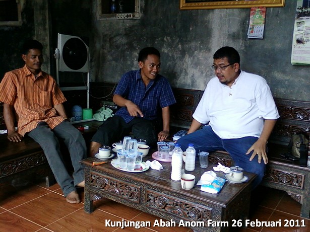 kunjungan-peternakan-etawa-abah-anom-farm