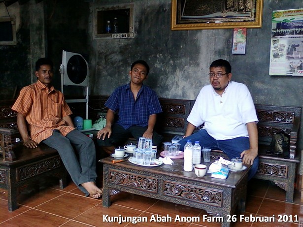 kunjungan-peternakan-etawa-abah-anom-farm
