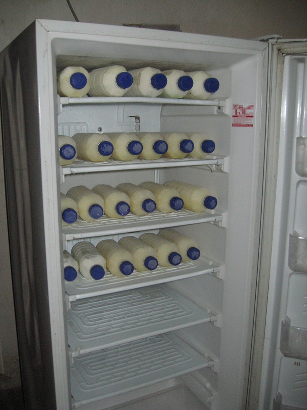 susu-kambing susu-kambing