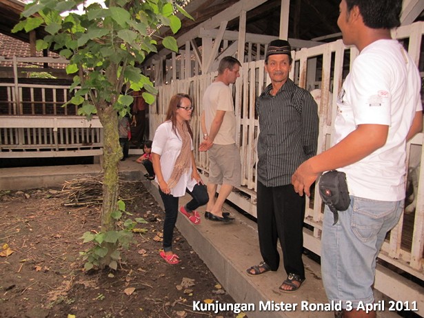 kunjungan-mister-ronald-peternakan-etawa-jaya