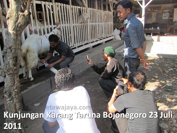 kunjungan-karang-taruna-bojonegoro-etawa-jaya