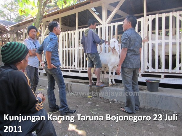 kunjungan-karang-taruna-bojonegoro-etawa-jaya