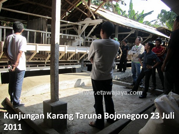 kunjungan-karang-taruna-bojonegoro-etawa-jaya