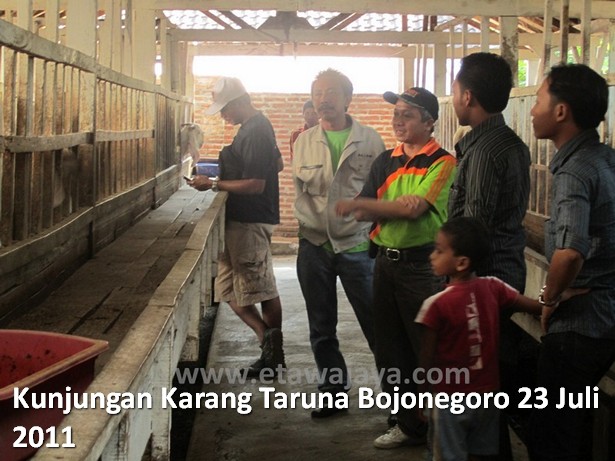 kunjungan-karang-taruna-bojonegoro-etawa-jaya
