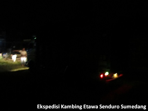 ekspedisi-kambing-etawa-senduro-sumedang