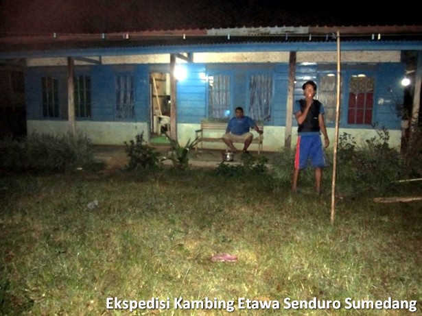 ekspedisi-kambing-etawa-senduro-sumedang