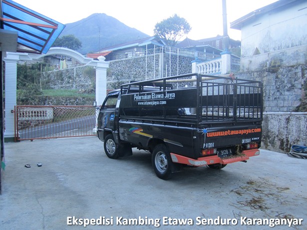ekspedisi-kambing-etawa-senduro-karanganyar