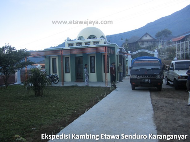ekspedisi-kambing-etawa-senduro-karanganyar