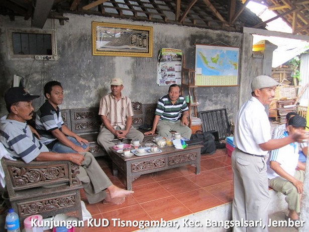 kunjungan-kud-tisnogambar-bangsalsari-jember kunjungan-kud-tisnogambar-bangsalsari-jember