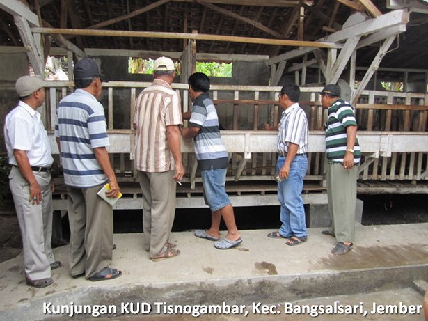 kunjungan-kud-tisnogambar-bangsalsari-jember kunjungan-kud-tisnogambar-bangsalsari-jember