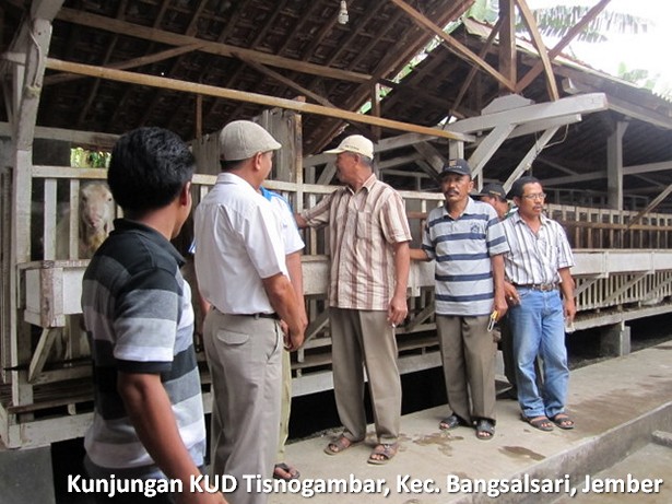 kunjungan-kud-tisnogambar-bangsalsari-jember kunjungan-kud-tisnogambar-bangsalsari-jember