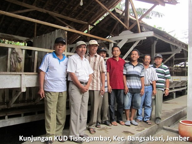 kunjungan-kud-tisnogambar-bangsalsari-jember kunjungan-kud-tisnogambar-bangsalsari-jember