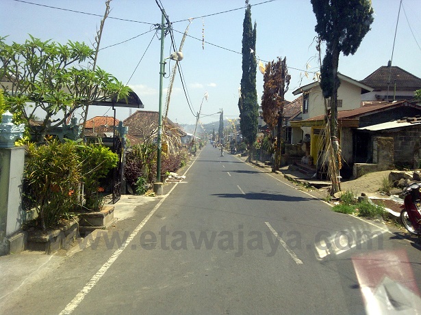 pengiriman-kambing-etawa-senduro-buleleng pengiriman-kambing-etawa-senduro-buleleng
