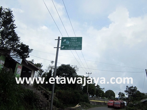 proyek-pengadaan-kambing-etawa-flores proyek-pengadaan-kambing-etawa-flores