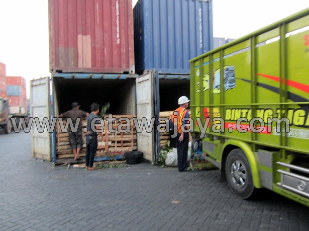 proyek-pengadaan-kambing-etawa-gorontalo-kontainer