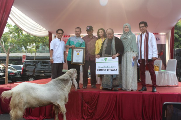kambing etawa rekor muri